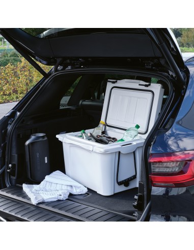 Borsa frigo San Francisco 35L rPE,  con placca metallica