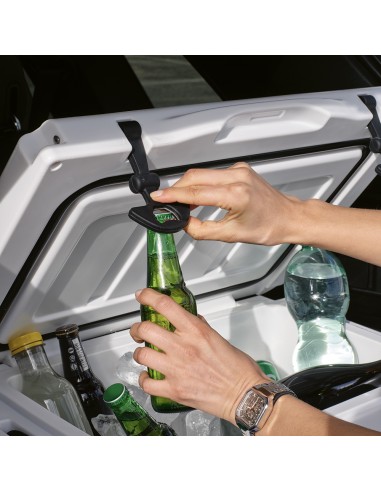 Borsa frigo San Francisco 35L rPE,  con placca metallica