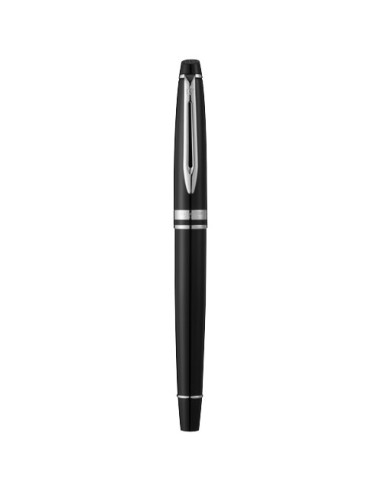 Waterman penna stilografica Expert (inchiostro blu)
