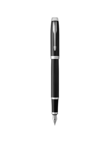 Parker penna stilografica IM (inchiostro blu)