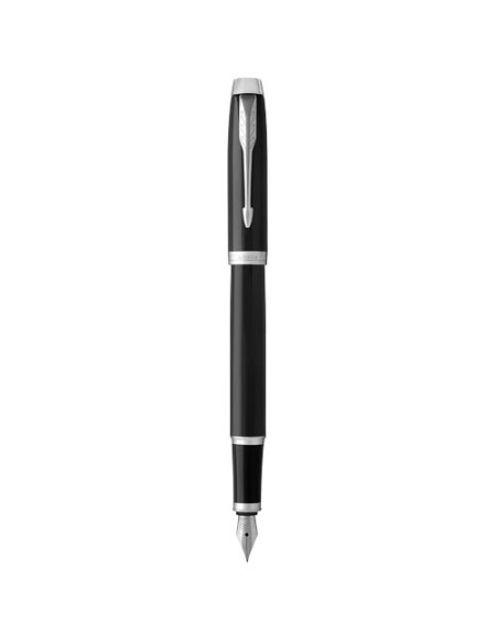 Parker penna stilografica IM (inchiostro blu)
