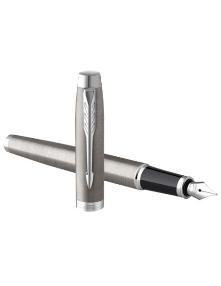 Parker penna stilografica IM (inchiostro blu)