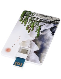 Chiavetta USB 3.0 da 32 GB con porta Tipo-C e USB-A Duo slim