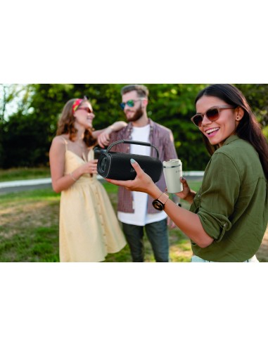 2x10 Speaker impermeabile