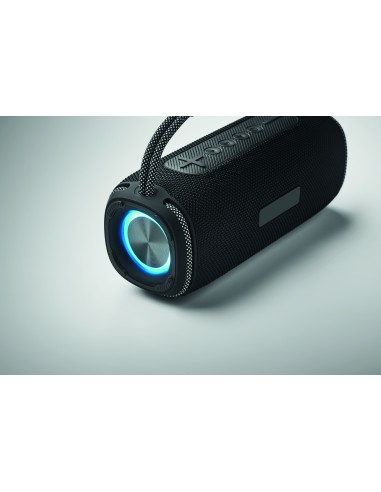 2x10 Speaker impermeabile