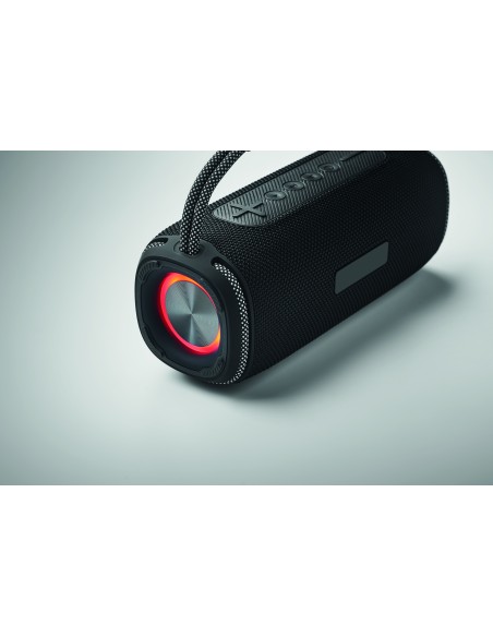 2x10 Speaker impermeabile