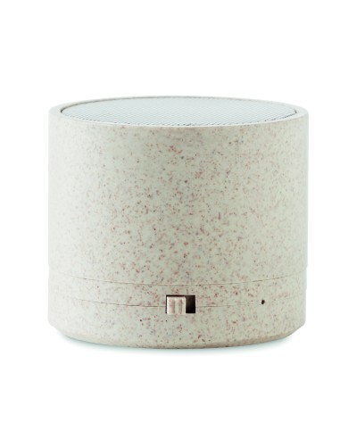 Speaker wireless in paglia