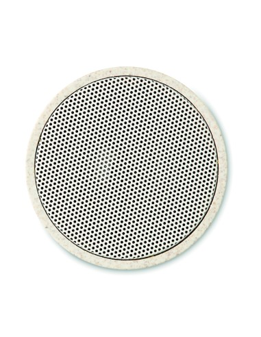 Speaker wireless in paglia