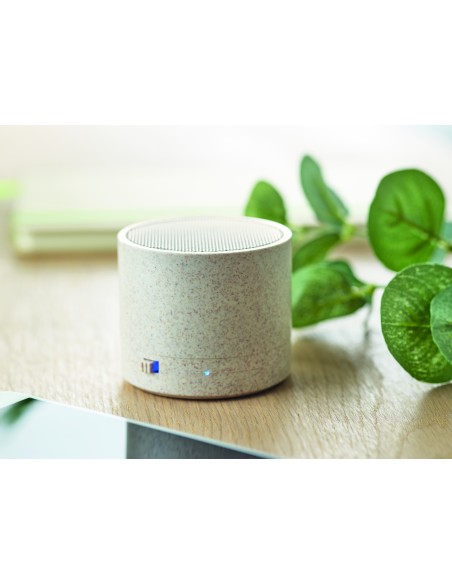 Speaker wireless in paglia