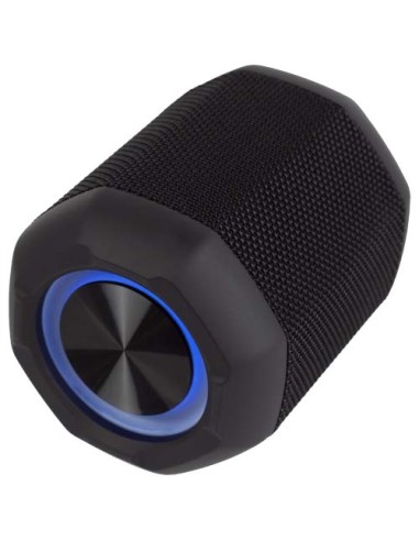 Speaker Prixton Dance Box