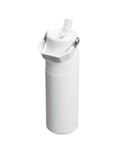 Borraccia da 700 ml con cannuccia a scatto Stanley IceFlow™ 2.0