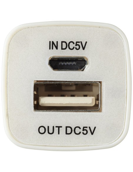 Power bank WS102 da 2200/2600 mAh