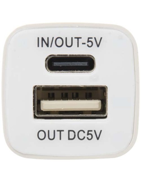 Power bank WS102 da 2200/2600 mAh