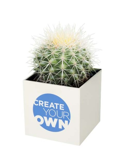 Vaso in alluminio con pianta, cactus Hey Pots