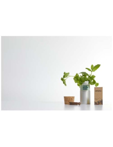 Giardino da scrivania con mix di fiori Hey Pots