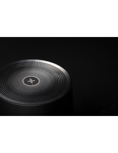 Speaker wireless 5W Swiss Peak