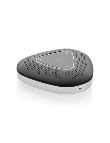 Speaker conference call