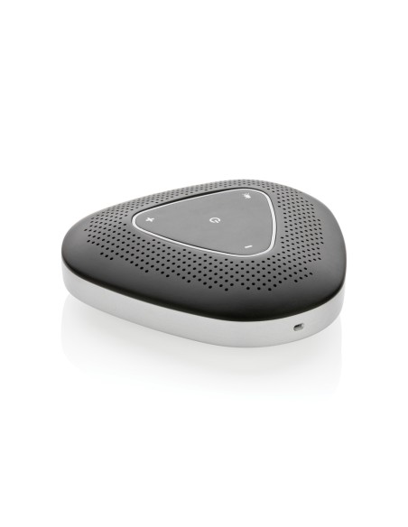 Speaker conference call