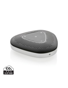 Speaker conference call