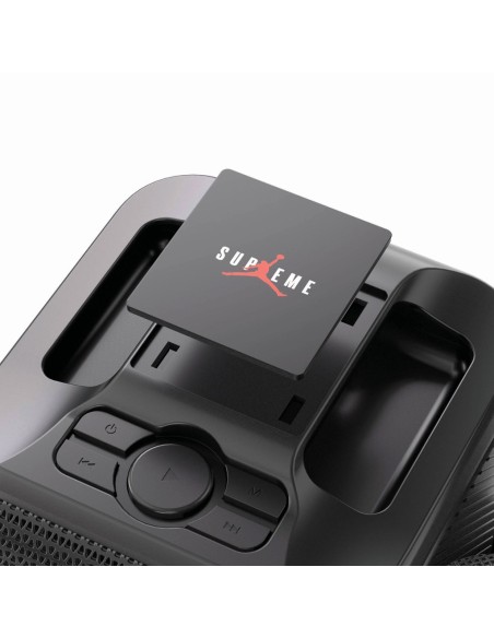 Karaoke con doppio microfono Singvibe in plastica RCS