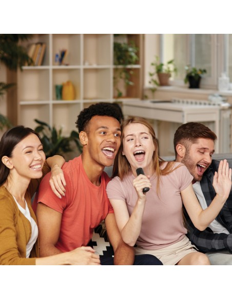 Karaoke con doppio microfono Singvibe in plastica RCS