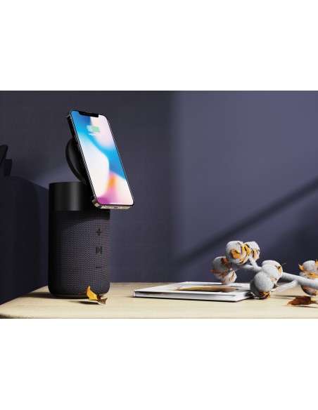 Speaker 10W e caricatore 15W Urban Vitamin Anaheim RCS