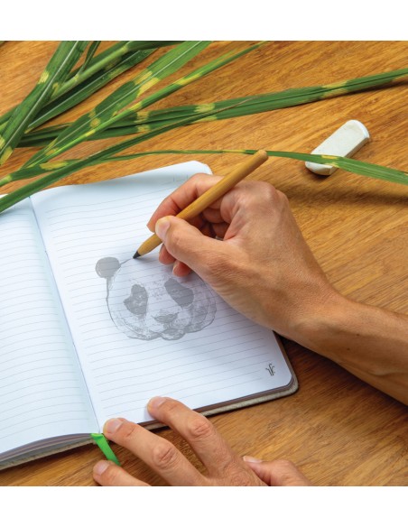 Matita Tree free infinity