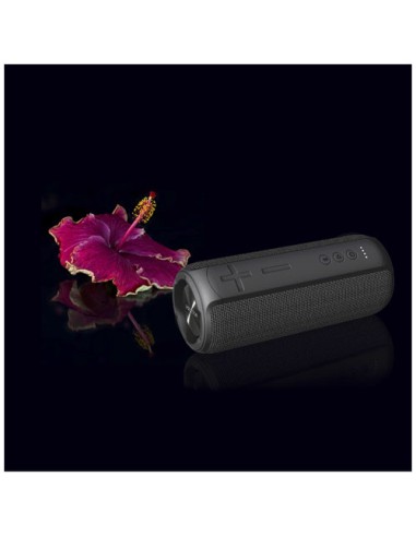 Speaker Prixton Ohana XL Bluetooth®