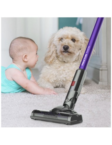 Aspirapolvere Prixton Thor