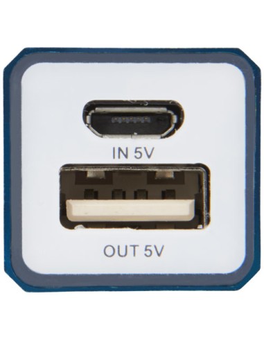 Powerbank WS101B da 2200/2600 mAh