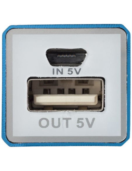 Powerbank WS101 da 2200/2600 mAh